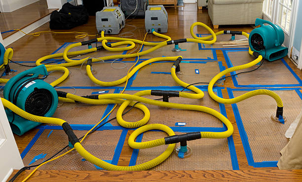 Professional Storm Water Damage Restoration technician working in Verona, MS